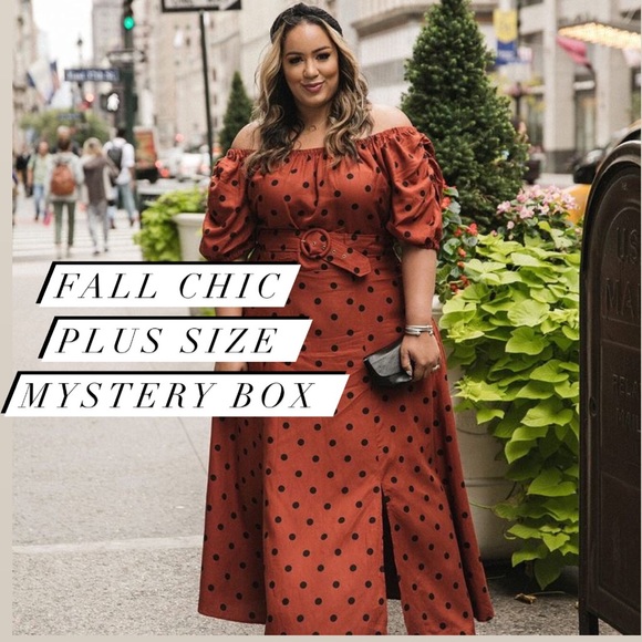 ASOS Curve Dresses & Skirts - FALL CHIC PLUS SIZE MYSTERY BOX 5 PIECES